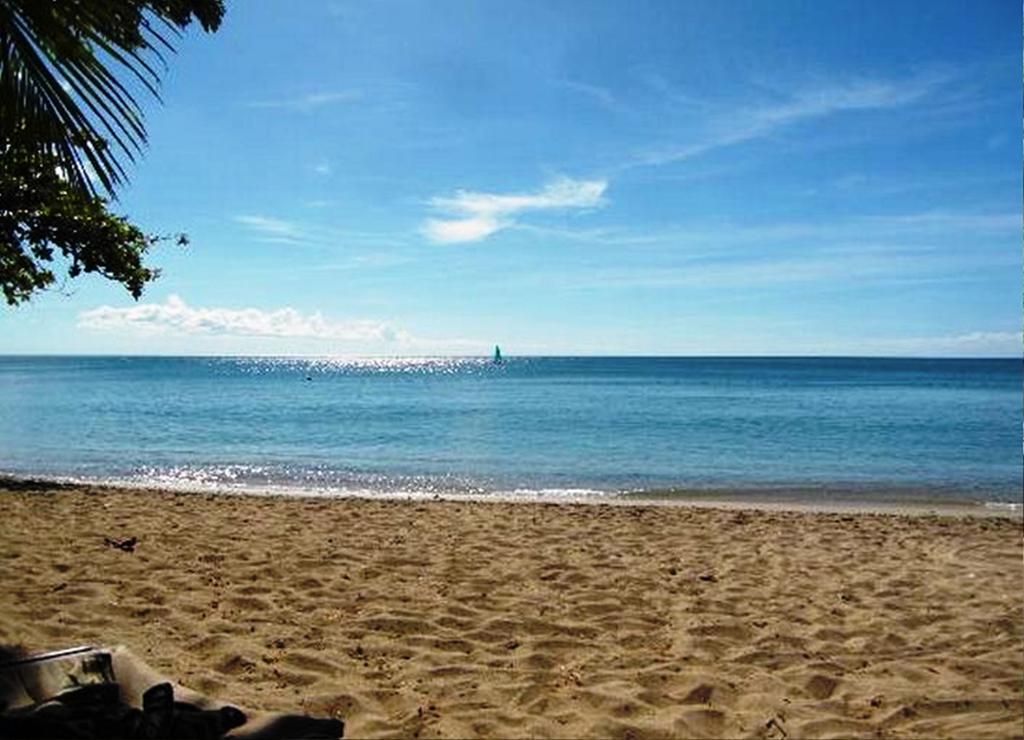 East Winds St. Lucia Hotel Gros Islet Bagian luar foto
