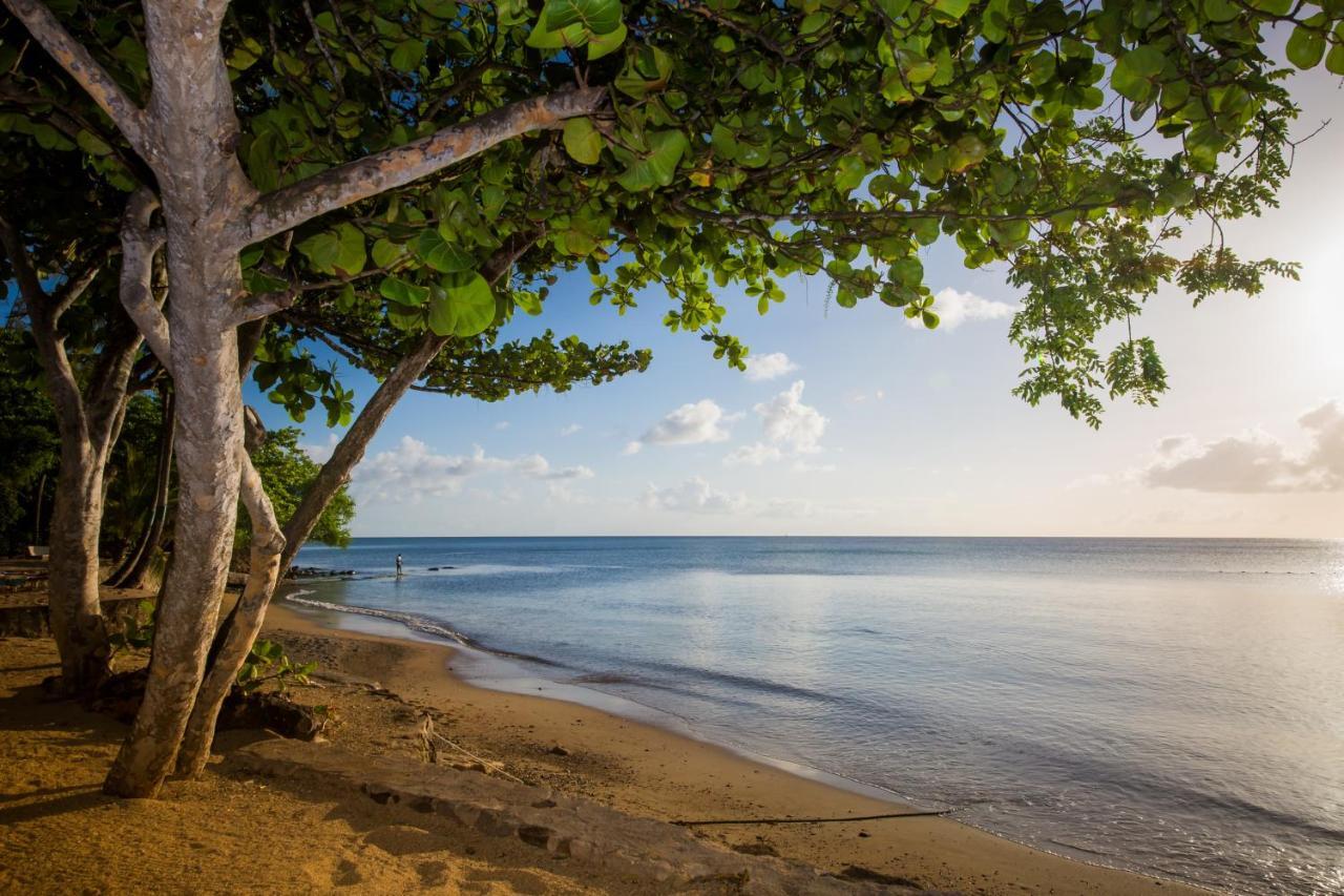 East Winds St. Lucia Hotel Gros Islet Bagian luar foto